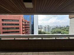 The Cairnhill (D9), Condominium #409224281